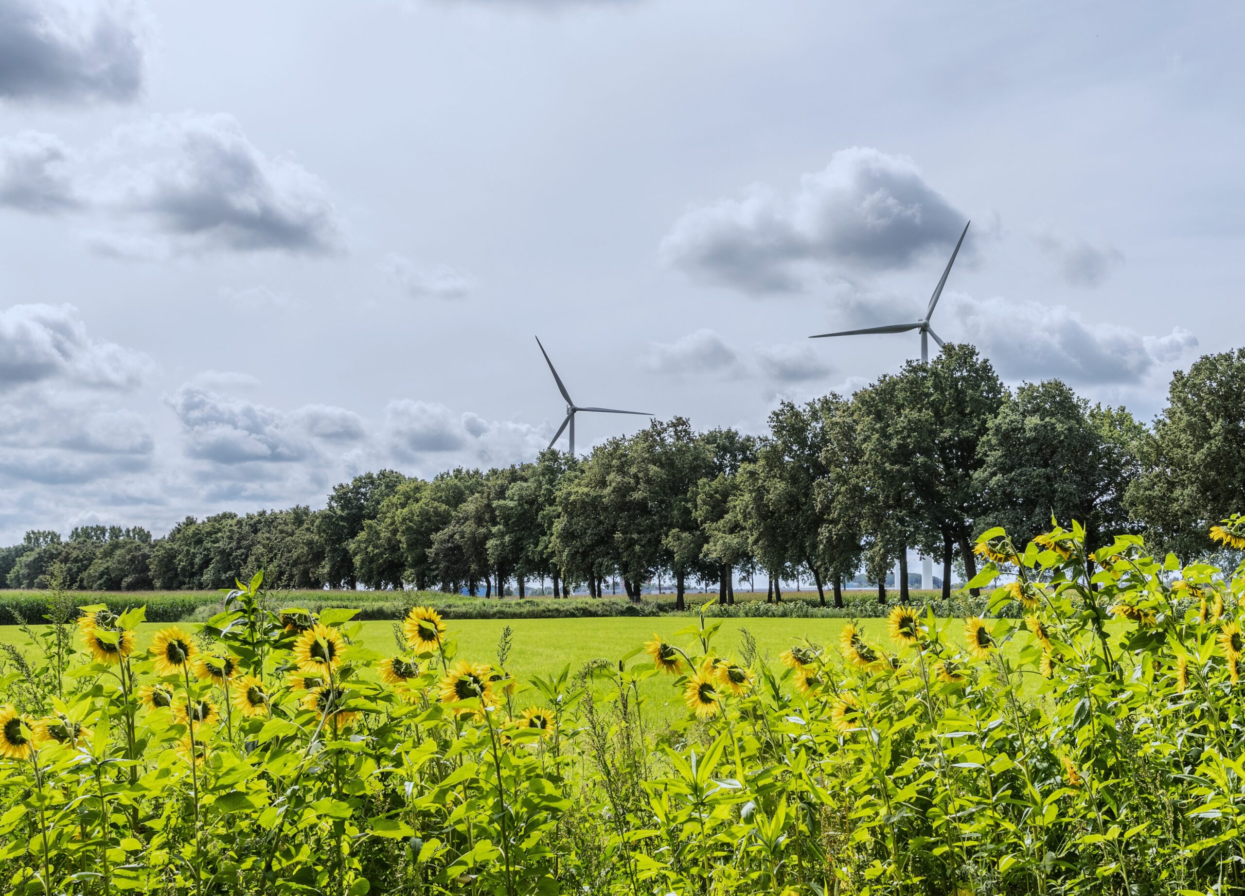 Het terrein op bedrijventerrein InnoFase waar het zonnepark komt.